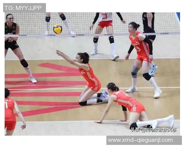 北京排球队状态变革引发热议球迷期待新篇章与未来挑战