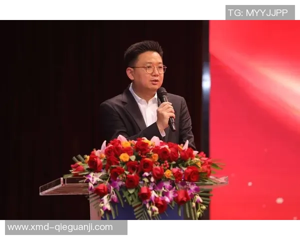 李强专访揭秘篮球成功背后的秘密与奋斗历程