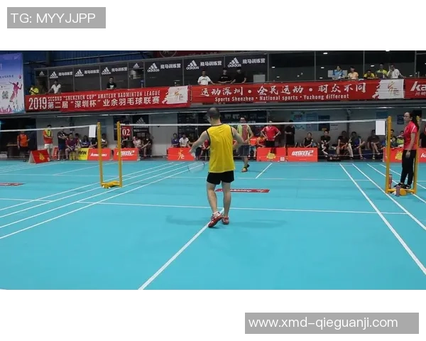 深圳羽毛球队在锦标赛中的状态分析与表现评估