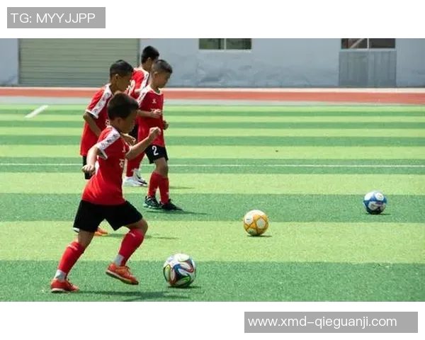 王敏独家分享足球心得与技巧助你提升球技的秘诀与经验