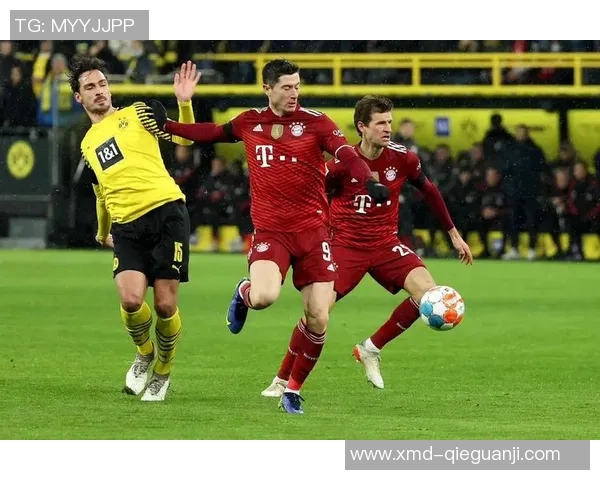 足球明星与他们的传奇球场背后的故事与荣耀 足球明星与他们的传奇球场背后的故事与荣耀