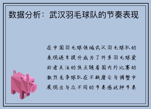 数据分析：武汉羽毛球队的节奏表现