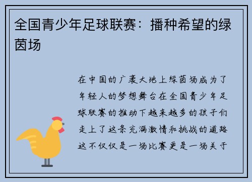 全国青少年足球联赛：播种希望的绿茵场