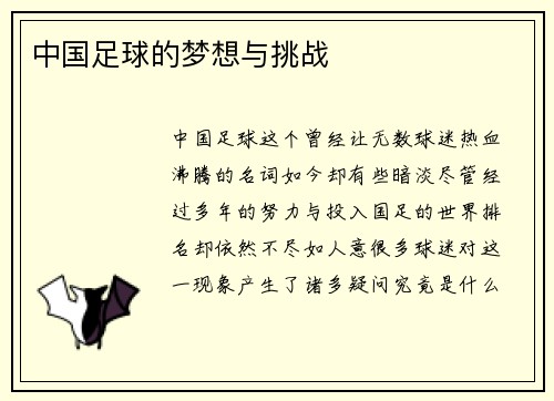 中国足球的梦想与挑战