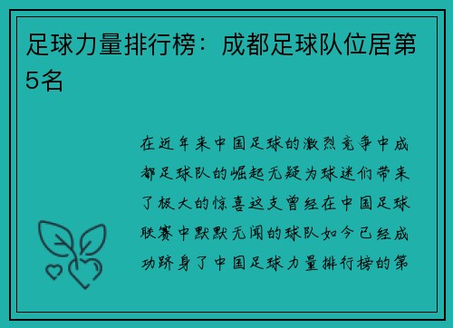 足球力量排行榜：成都足球队位居第5名