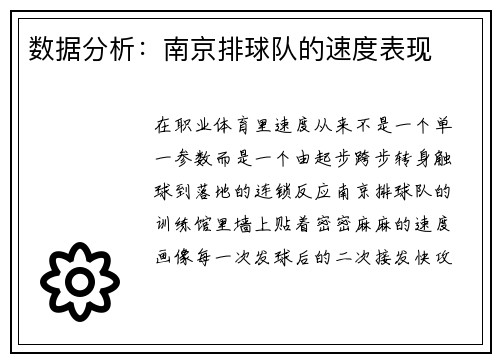 数据分析：南京排球队的速度表现
