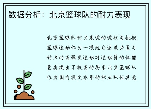 数据分析：北京篮球队的耐力表现